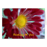 Thinking Of You Card