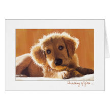 Thinking of You Card