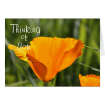 Thinking of you card- poppy