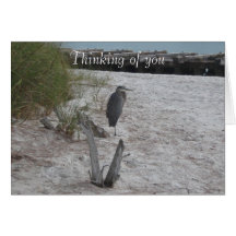 Thinking of you cards