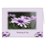 Thinking of You Cards