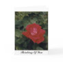Thinking Of You - Customized Cards