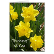 "Thinking of You" Daffodil Card