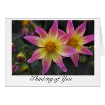 Thinking of You - Dahlia Trelyn Seren Flowers Greeting Card