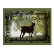 Thinking of You - Doberman Overlooking a Lake Postcards