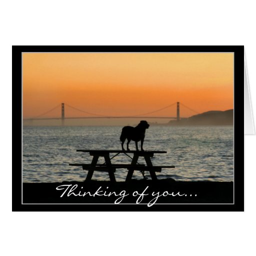 Thinking of you Dog in Sunset greeting card