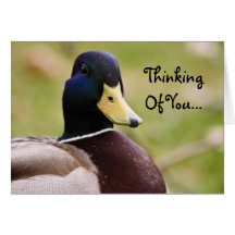 Thinking Of You Duck Card