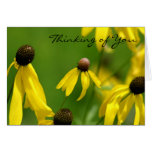 Thinking of You cards
