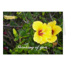 Thinking of you... greeting cards