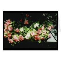 Thinking of You Greeting Cards
