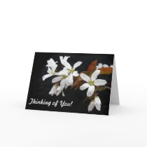 Thinking of You Indian Pear cards