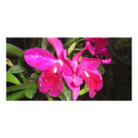 Thinking of You Orchids Custom Photo Card