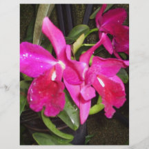 Thinking of You Orchids sticker Flyer
