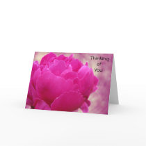 Thinking of You - Peony Swirl cards