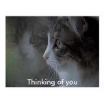 Thinking of you post card