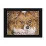Thinking of you! Post Card - Papillon