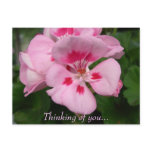 Thinking of you... postcards