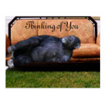 Thinking of You_ Postcard