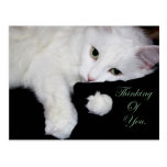 Thinking of You.. Postcards
