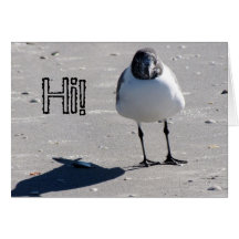 Thinking of You - sea bird Greeting Cards