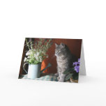 'Thinking of You', Tabby Cat  Card