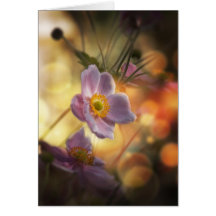 Thinking of You - Wild Dog Rose Greeting Card