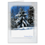Thinking Of You - Winter Tree Cards