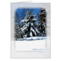 Thinking Of You - Winter Tree Cards