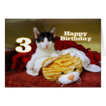 Third Birthday Kitten with Toy Tiger Card