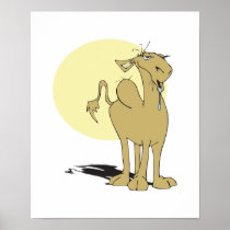 thirsty camel poster