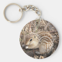 Thirteen Lined Ground squirrel Key Chains