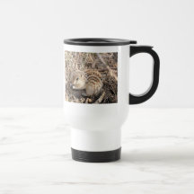 Thirteen Lined Ground squirrel Mugs
