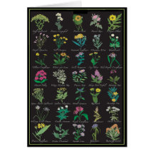 Thirty-five Wildflowers Greeting Card