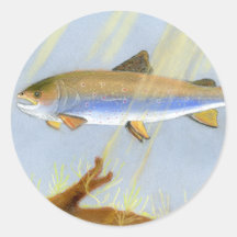 This Award Winning artwork features the Brook Trou Stickers
