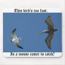 This bird's too fast. mouse pad