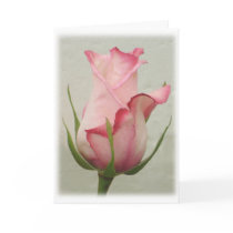 This bud's for you! cards