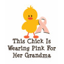 This Chick Wears Pink For Grandma Kids Ringer Tee t-shirts