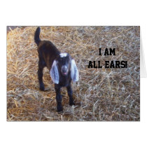 THIS GOAT IS "ALL EARS" - MUTUAL BIRTHDAY CARD cards