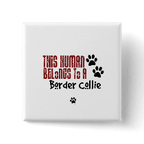 This Human Belongs to a Border Collie