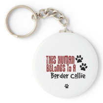 This Human Belongs to a Border Collie
