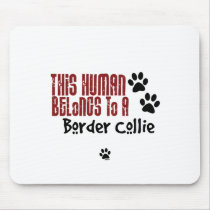 This Human Belongs to a Border Collie