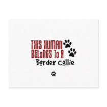 This Human Belongs to a Border Collie
