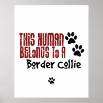 This Human Belongs to a Border Collie