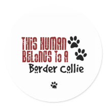 This Human Belongs to a Border Collie