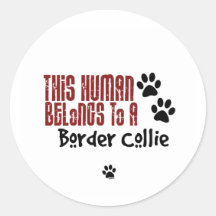 This Human Belongs to a Border Collie Sticker