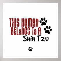 This Human Belongs to a Shih Tzu