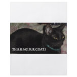 THIS IS MY FUR COAT! KITTY FLYERS