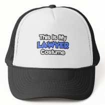 This Is My Lawyer Costume