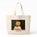 This IS my trick-or-treat bag!