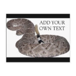 This Is The Actual Snake That Struck Me 6/25/09 Postcard